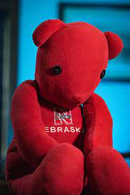 Forever Teddy Bear